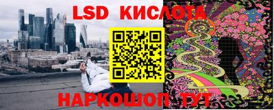 индика Тулун