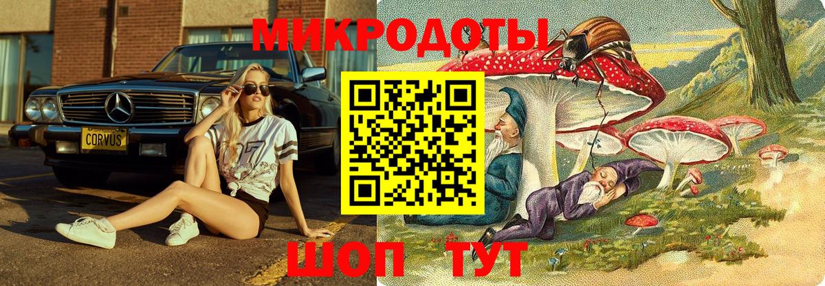 Троицк  Псилоцибиновые грибы Psilocybe  Вход с VPN 